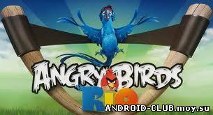 Angry Birds: Rio —Злые Птицы