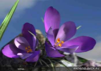 Весенние цветы 3D скриншот 3