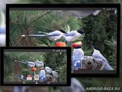 4K Garden Birds Video Live Wallpaper скриншот 3