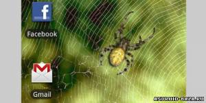 Spider — Живые Обои "Паук" скриншот 2