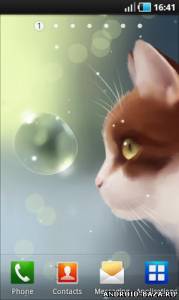 Curious Cat Live Wallpaper скриншот 3