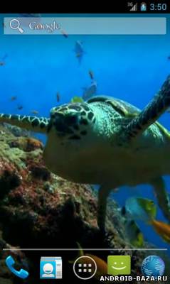 Морская черепаха - Видео обои скриншот 2