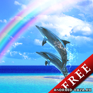 Dolphin Rainbow - живые обои