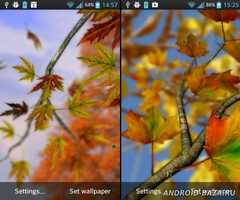 Autumn Leaves in HD Gyro 3D Parallax Wallpaper скриншот 2