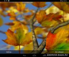 Autumn Leaves in HD Gyro 3D Parallax Wallpaper скриншот 3