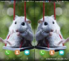 Милая Крыса живые обои скриншот 2