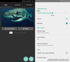 Акула 4К живые видео обои скриншот 3