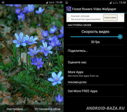 Лесные цветы - видео обои скриншот 3