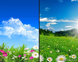 Весенние цветы - живые обои скриншот 2