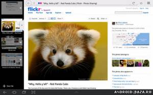 Firefox 10 скриншот 2