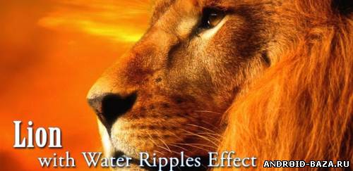 Magic Effect Lion постер