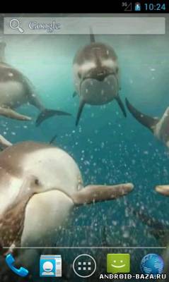 Дельфины. HD видео обои скриншот 2