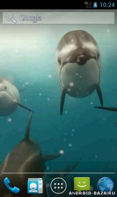 Дельфины. HD видео обои скриншот 3