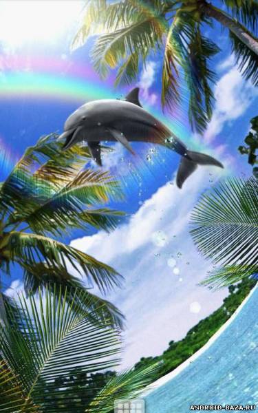 Dolphin Rainbow - живые обои скриншот 2